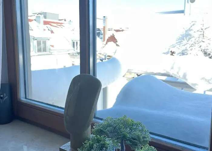Nami - Robin - Helle Apartments Mitten In Der Stadt